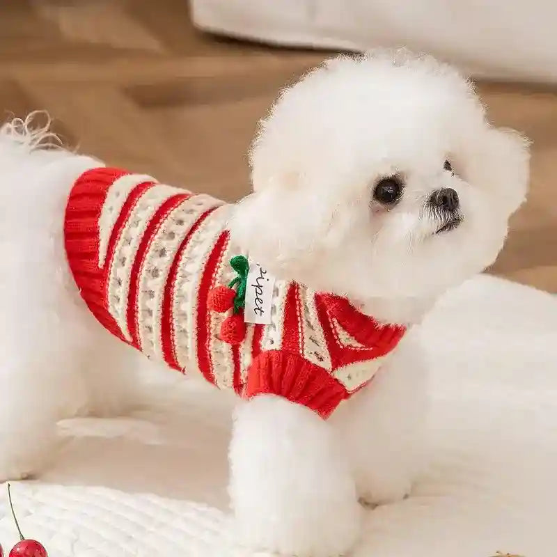 Maglione Cani Gatti Ciliegie - Pullover Caldo Invernale by Dog Moda