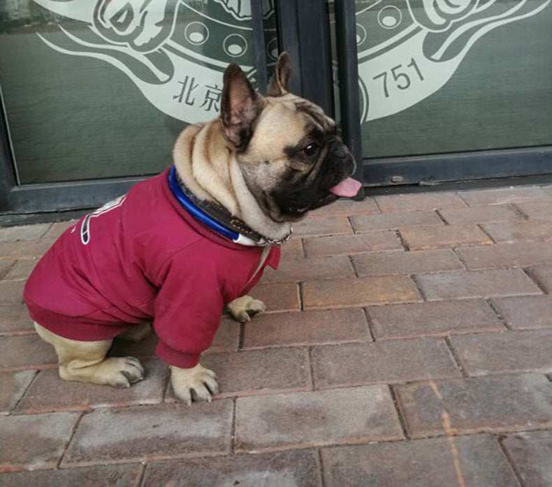"Fly High" Dog Coat Padded with Fleece and Buttons | DogModa