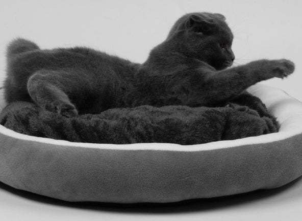 Dog bed with removable cushion "Oreo"