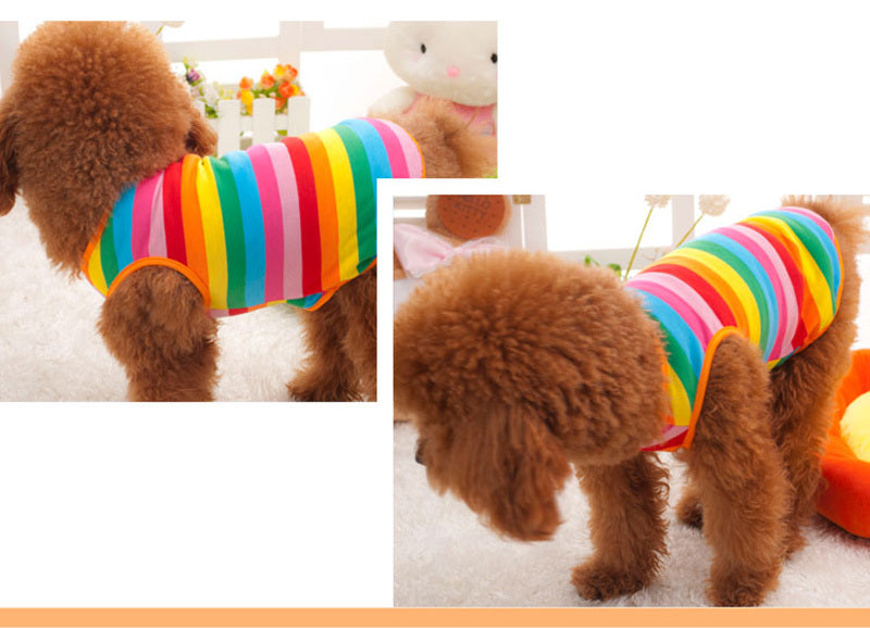 "Rainbow Sunshine" Dog Shirt - Color and Comfort for Summer Days