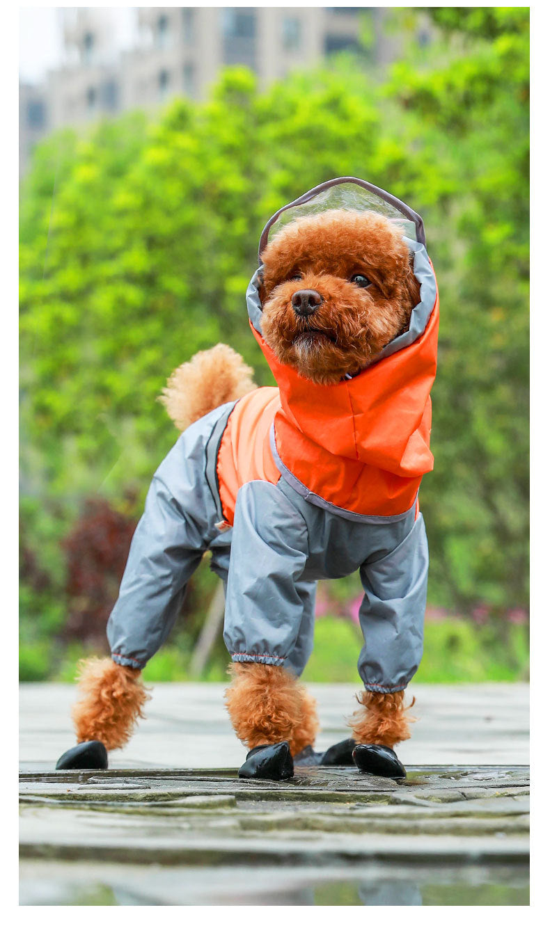 Raincoat "Philadelphia" for Large Dogs