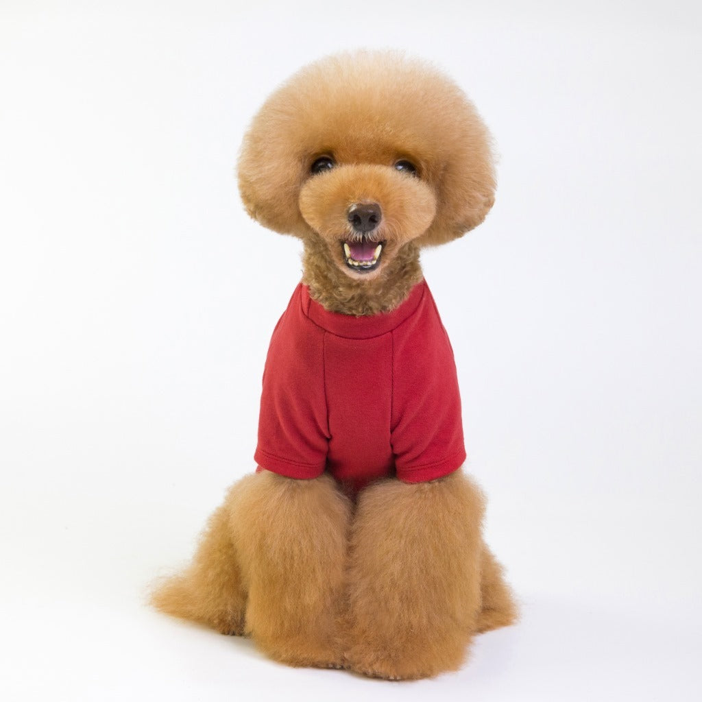 Fashion Dog T-Shirt – Casual and Comfortable Style