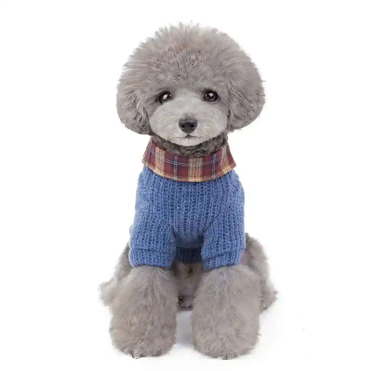 Maglioncino Cani Gatti Colletto Bottoni Elegante by Dog Moda