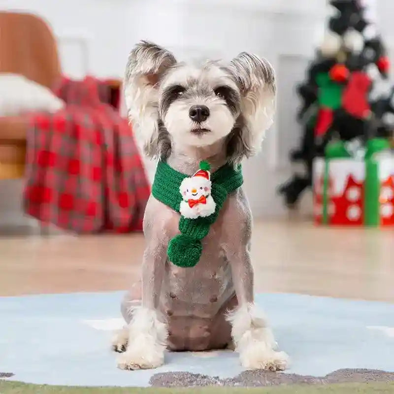 Maglione Natale Cani Fiocchi Neve Rosso Verde by Dog Moda