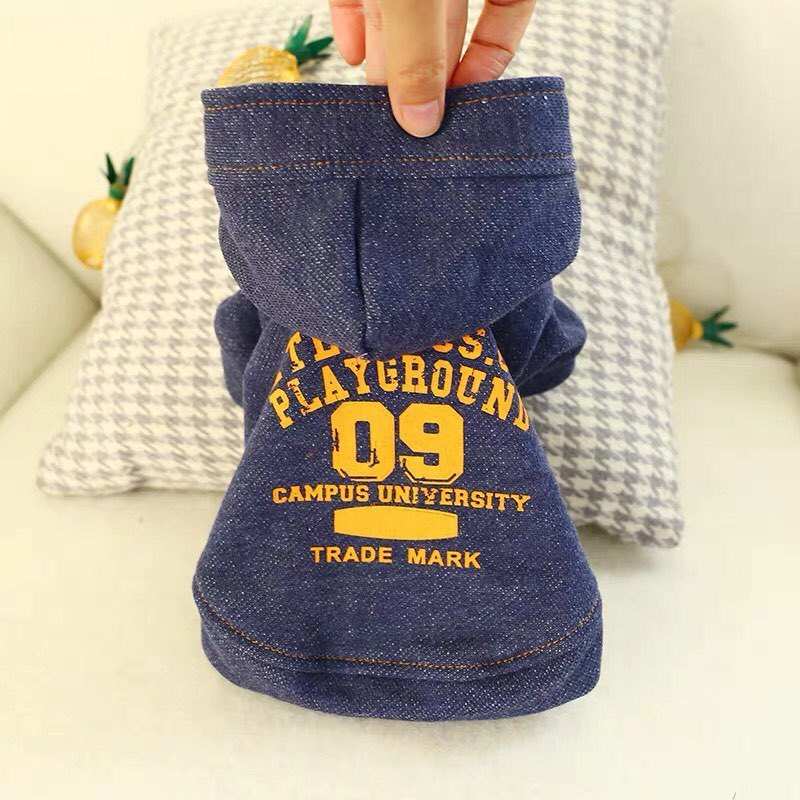 Campus University Dog Hoodie