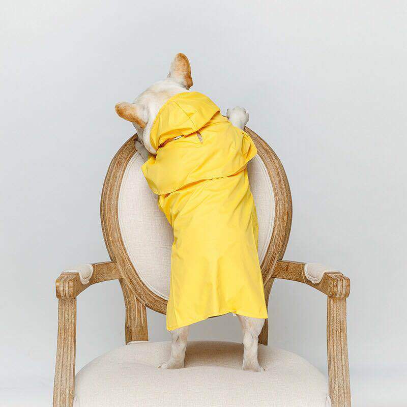 Dog raincoat with hood "Praga"