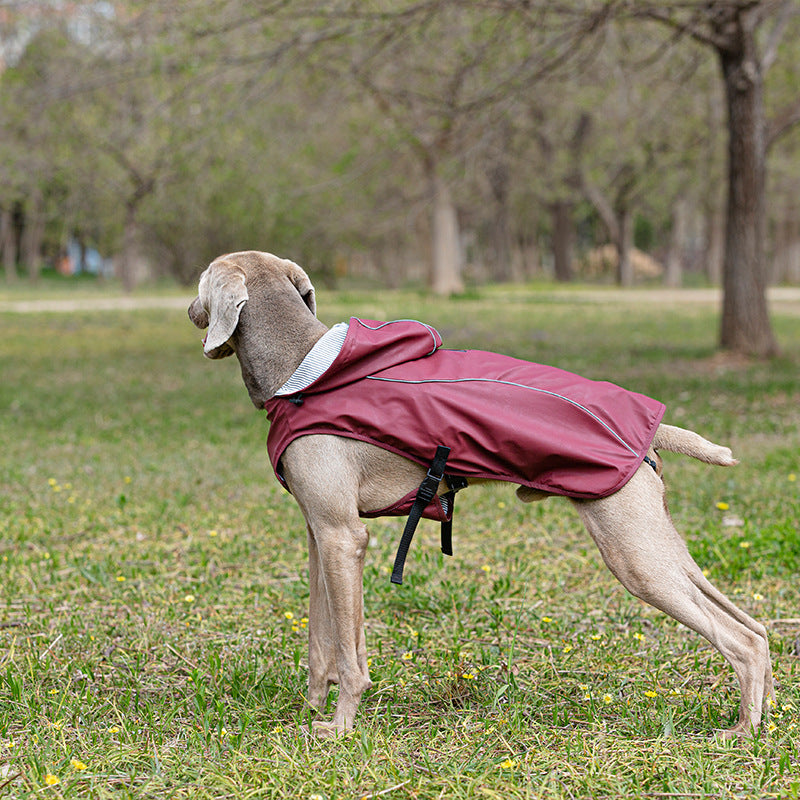 Impermeabile "Portland" per Weimaraner: comfort e protezione per le giornate piovose