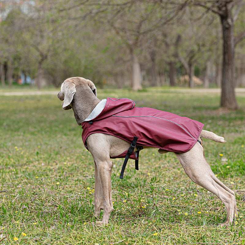 Raincoat "Portland" for Weimaraner: comfort and protection for rainy days