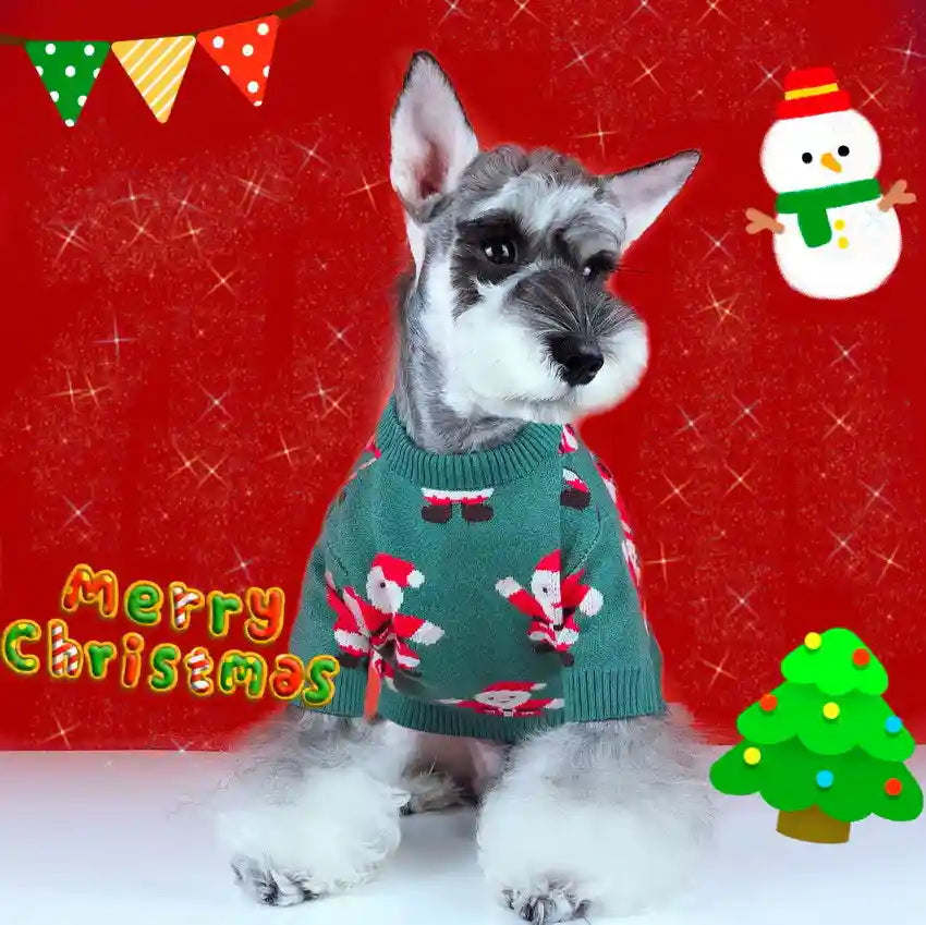 Maglione Natale Cani Babbo Natale Verde - Lana Caldo by Dog Moda
