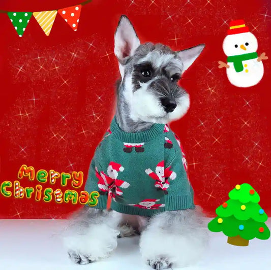 Maglione Natale Cani Babbo Natale Verde - Lana Caldo by Dog Moda