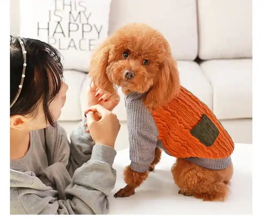 Maglione Cani Treccia Pile - Doppio Taschino Caldo by Dog Moda