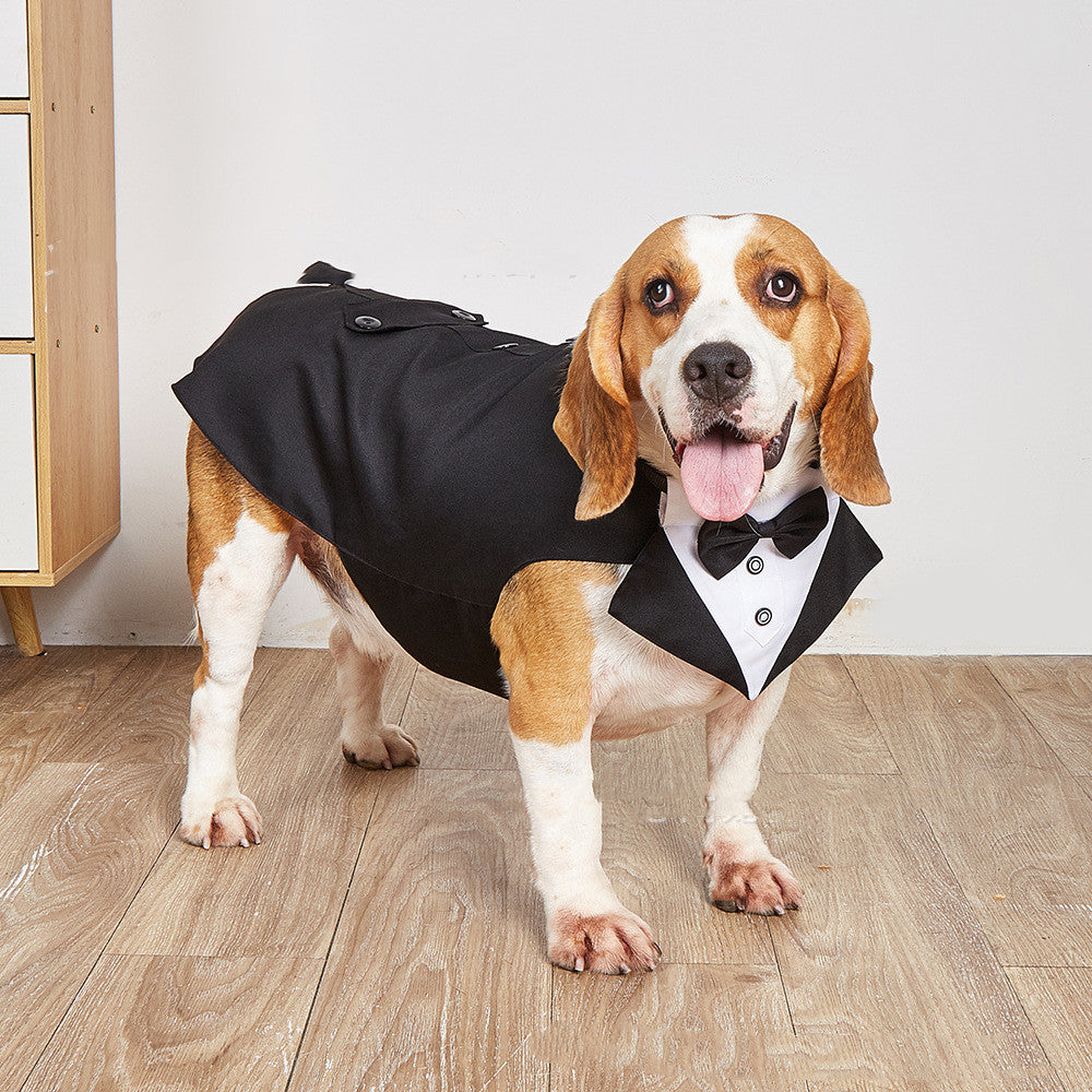 Vestitino da Cerimonia per Cani - Modello Tuxedo con Papillon - Dog Moda