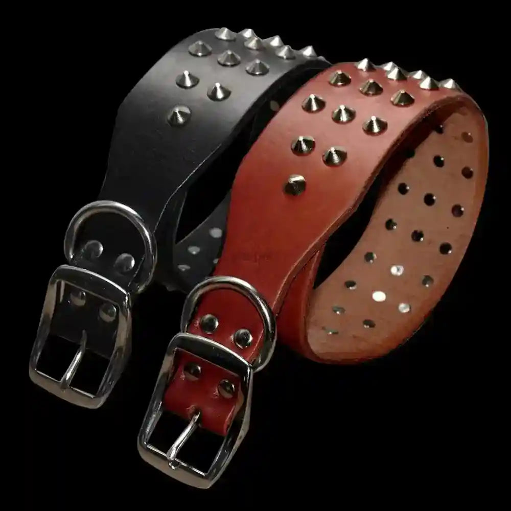 Collare Hercules per Cani con Borchie - Pelle Premium by Dog Moda