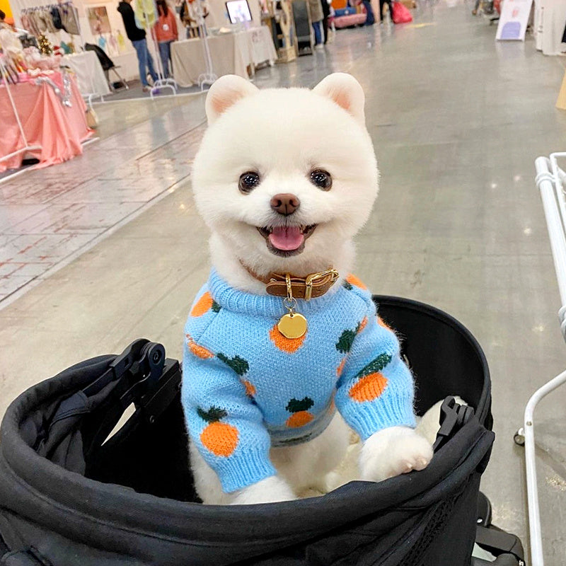 Carrot Pattern Dog Sweater 