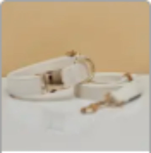 Personalisiertes Hundehalsband mit Namen und Nummer – Weicher Stoff