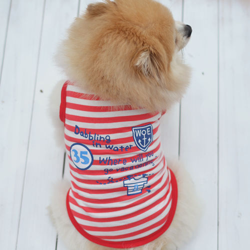 T-Shirt mit Hund und Zwergspitz „Happy Sailor“