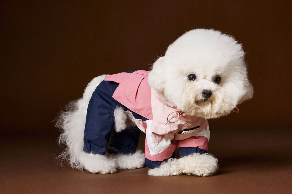 Tawney Bear 4-Legged Dog Raincoat with High Collar