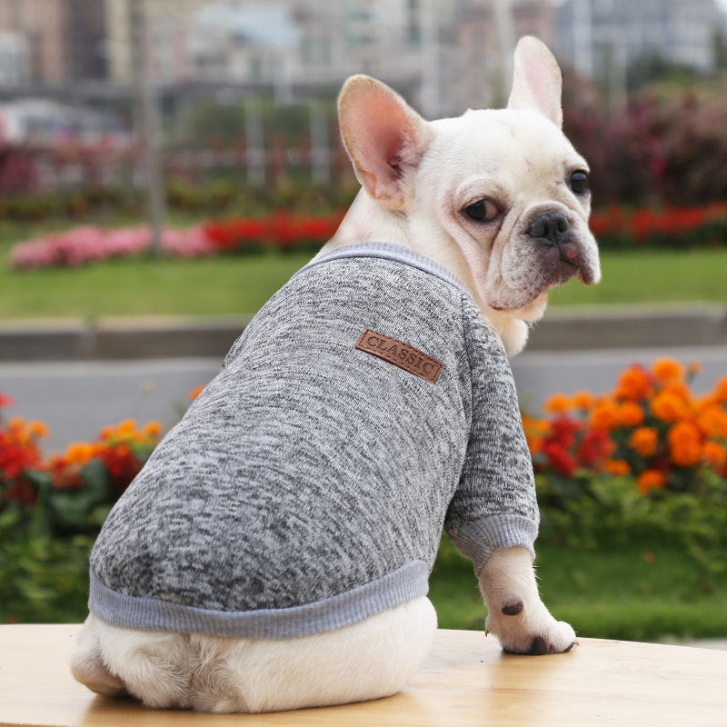 Maglioncino per Cani in Tinta Unita – Modello "Classic" - Dog Moda