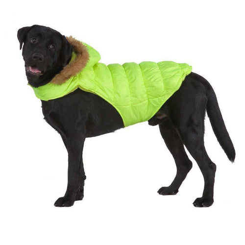 Cappotto per Cani Imbottito in Pile con Cappuccio in Ecopelliccia - Eleganza e Calore per il Tuo Amico a Quattro Zampe by Dog Moda