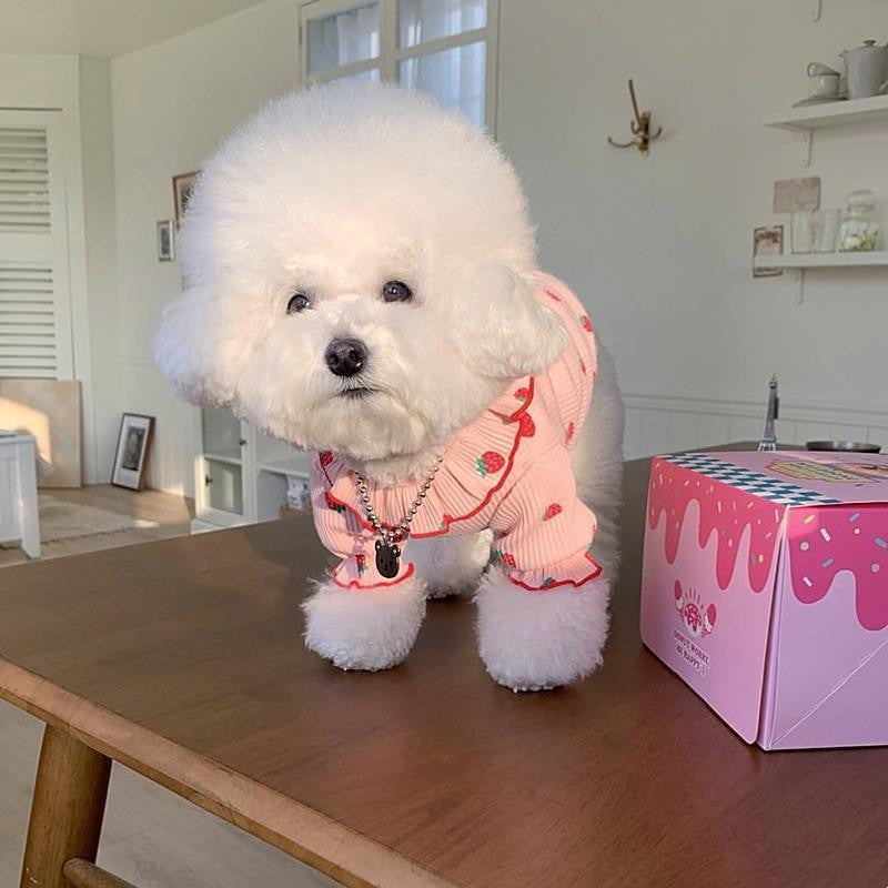 Strawberry Ice Cream Dog Sweater | Dogmoda