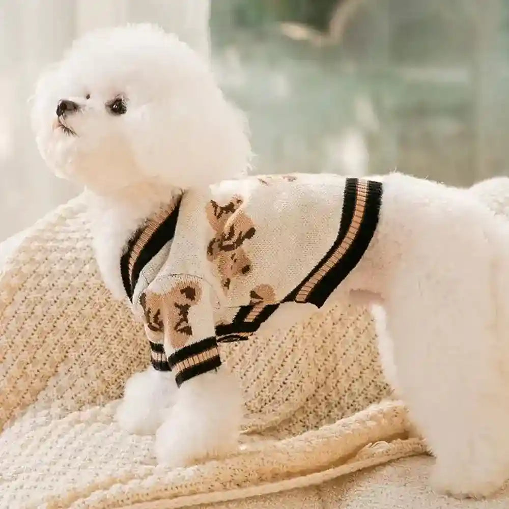 Maglione Cani Gatti Orsetto - Caldo Leggero Autunno by Dog Moda