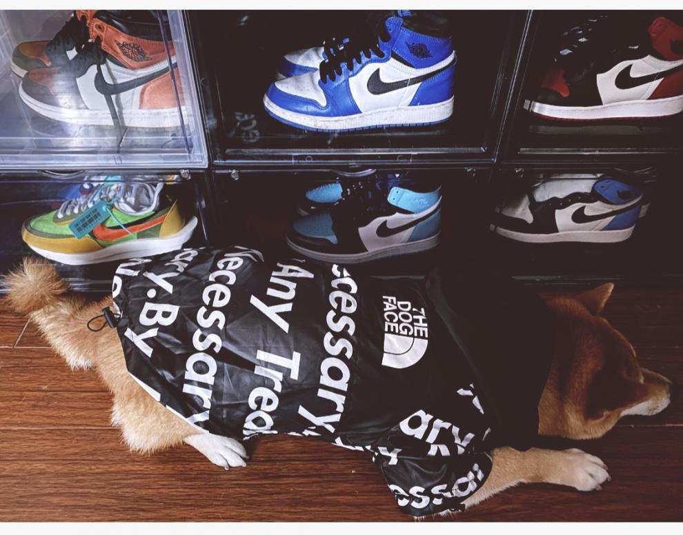 Impermeabile per cani con cappuccio "The Dog Face" – Protezione, comfort e stile per ogni passeggiata