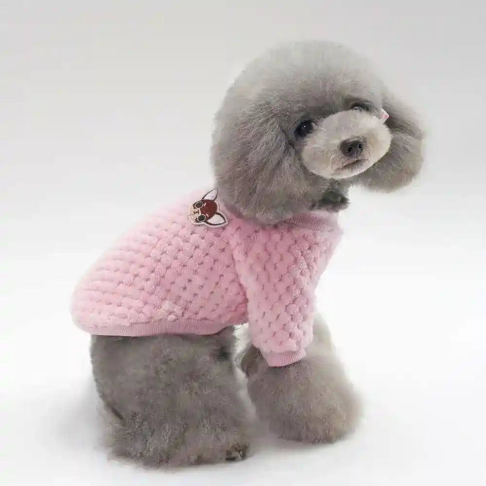 Maglia Chihuahua Invernale - Pelliccia Morbida Blu e Rosa by null