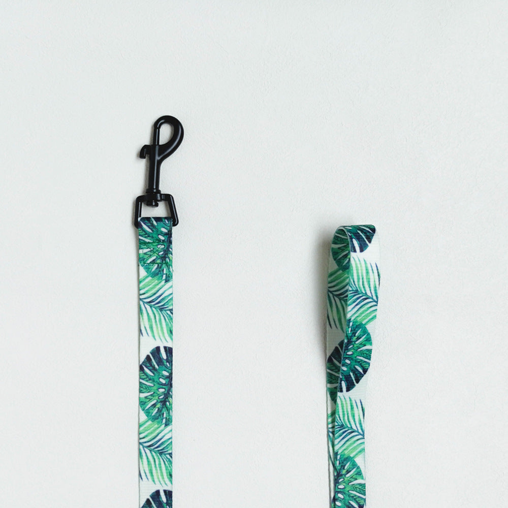 Harness and leash with unique "NicNic" patterns
