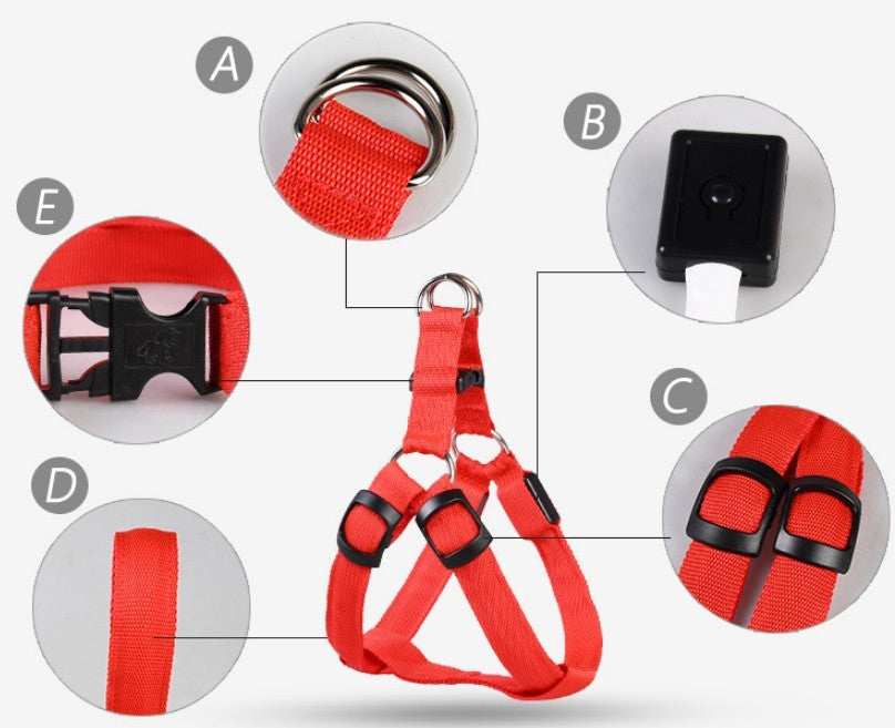 "Hudson" USB Rechargeable Light Up Dog Harness