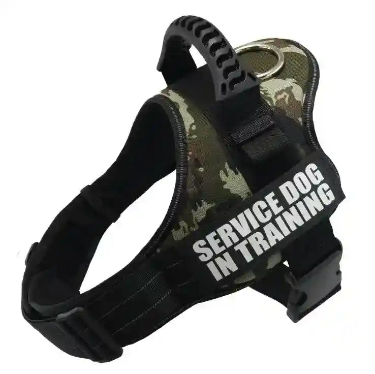 Pettorina Service Dog in Training - Maniglione Gomma by Dog Moda