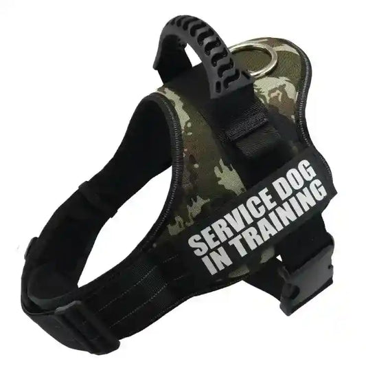 Pettorina Service Dog in Training - Maniglione Gomma by Dog Moda