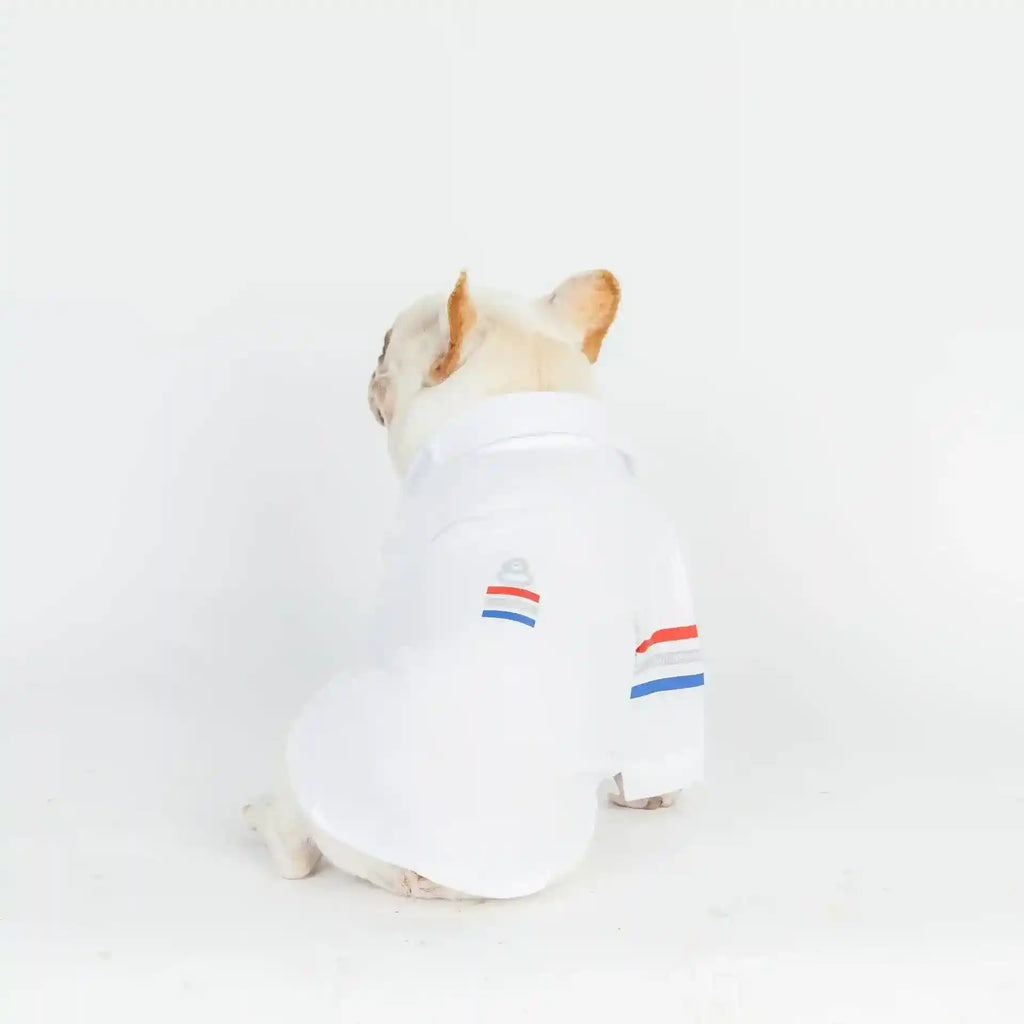 Blusa para Perros Elegante de Algodón Cómoda y Transpirable