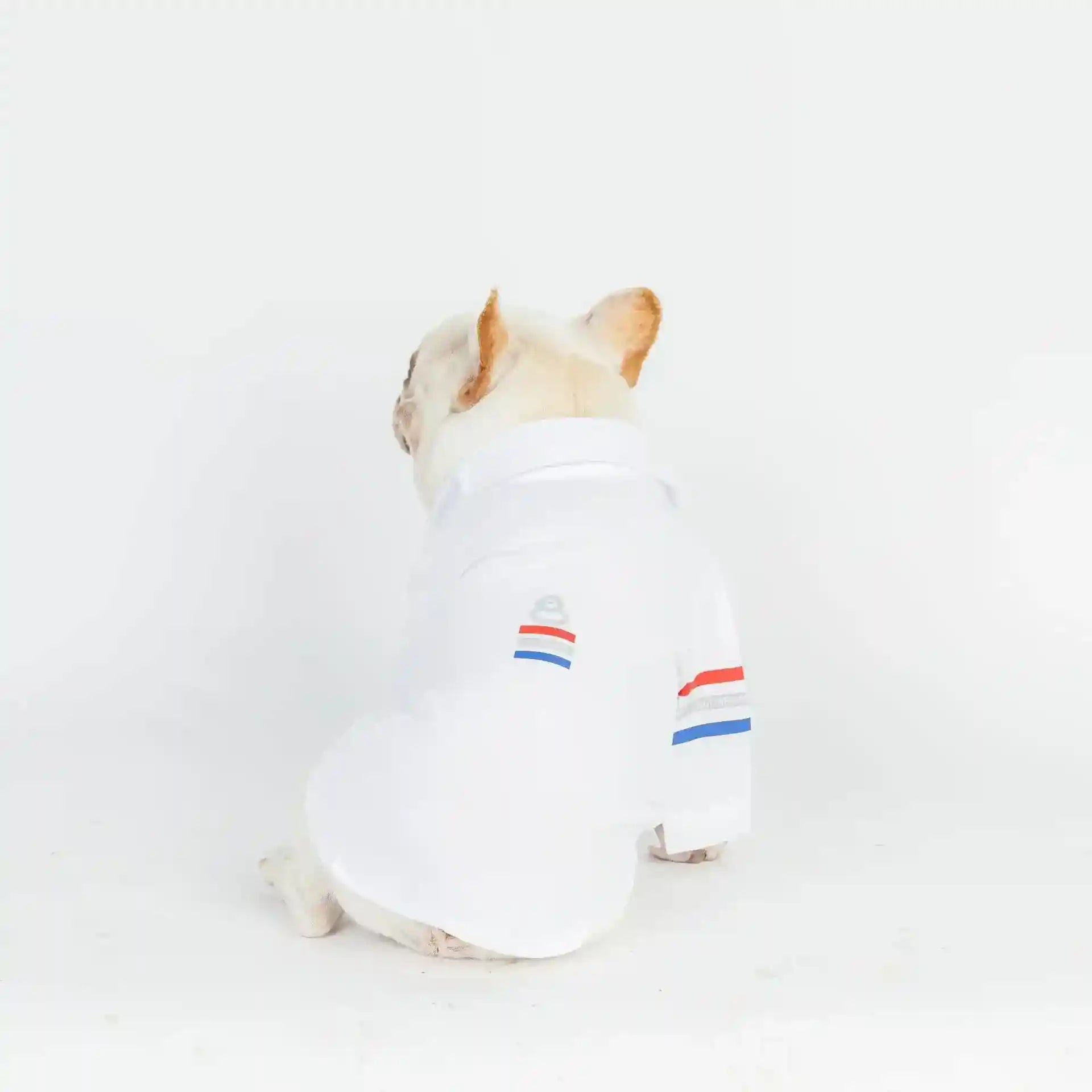 Camicetta Cani Elegante Cotone Comoda Traspirante by null