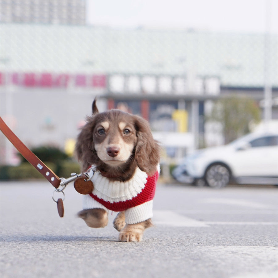 Maglioncino a Righe Bianche e Rosse per Cani – Adatto al Bassotto e Non Solo