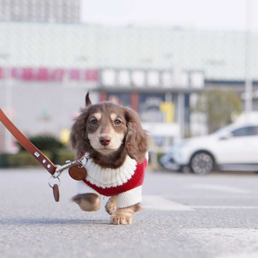 Maglioncino a Righe Bianche e Rosse per Cani – Adatto al Bassotto e Non Solo - Dog Moda