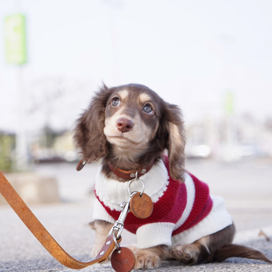 Maglioncino a Righe Bianche e Rosse per Cani – Adatto al Bassotto e Non Solo