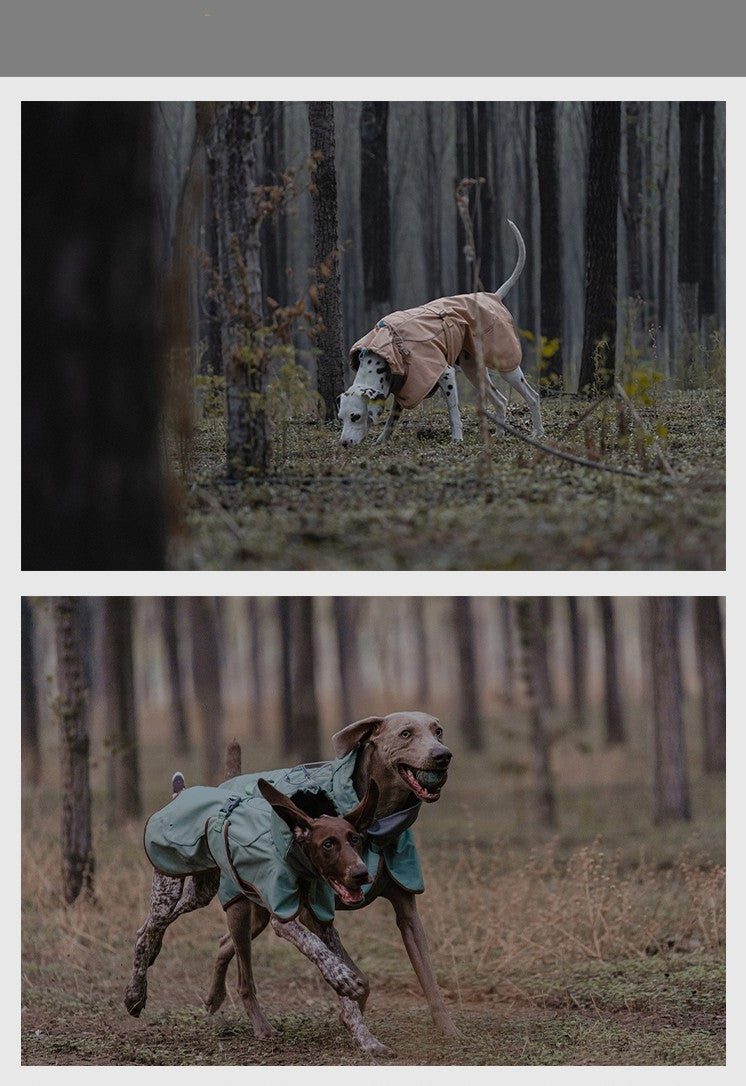 BlackDog "Shell" Raincoat for Dogs: Lightweight and Technological Protection
