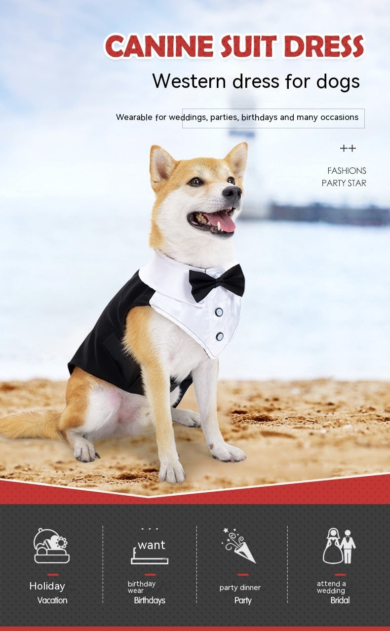 Dog Dress for Weddings and Birthdays Model "Suit"