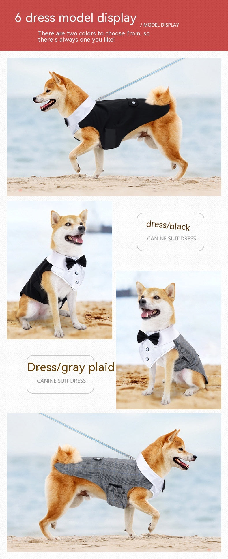 Dog Dress for Weddings and Birthdays Model "Suit"