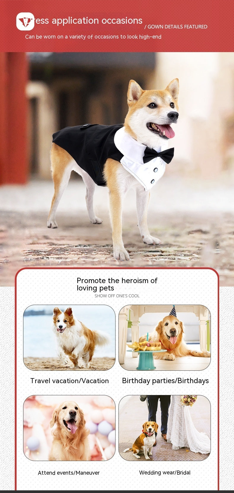 Dog Dress for Weddings and Birthdays Model "Suit"