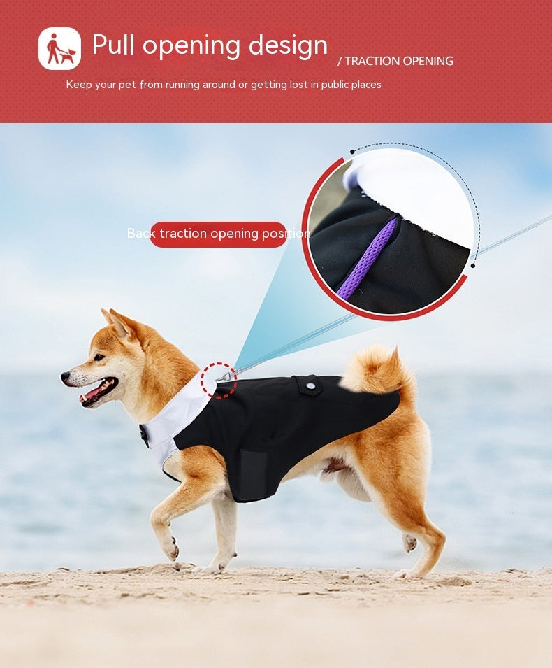 Dog Dress for Weddings and Birthdays Model "Suit"