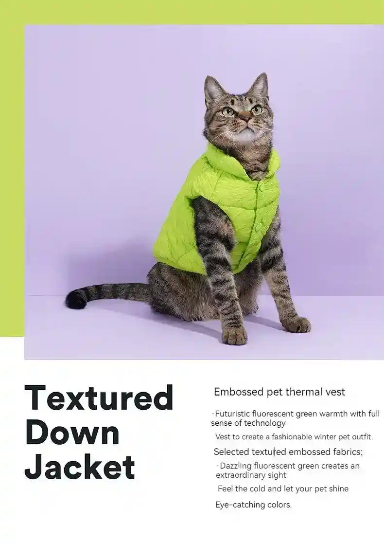 Cappotto ZeZe Gatti Verde - Smanicato Collo Alto S-M-L by Dog Moda