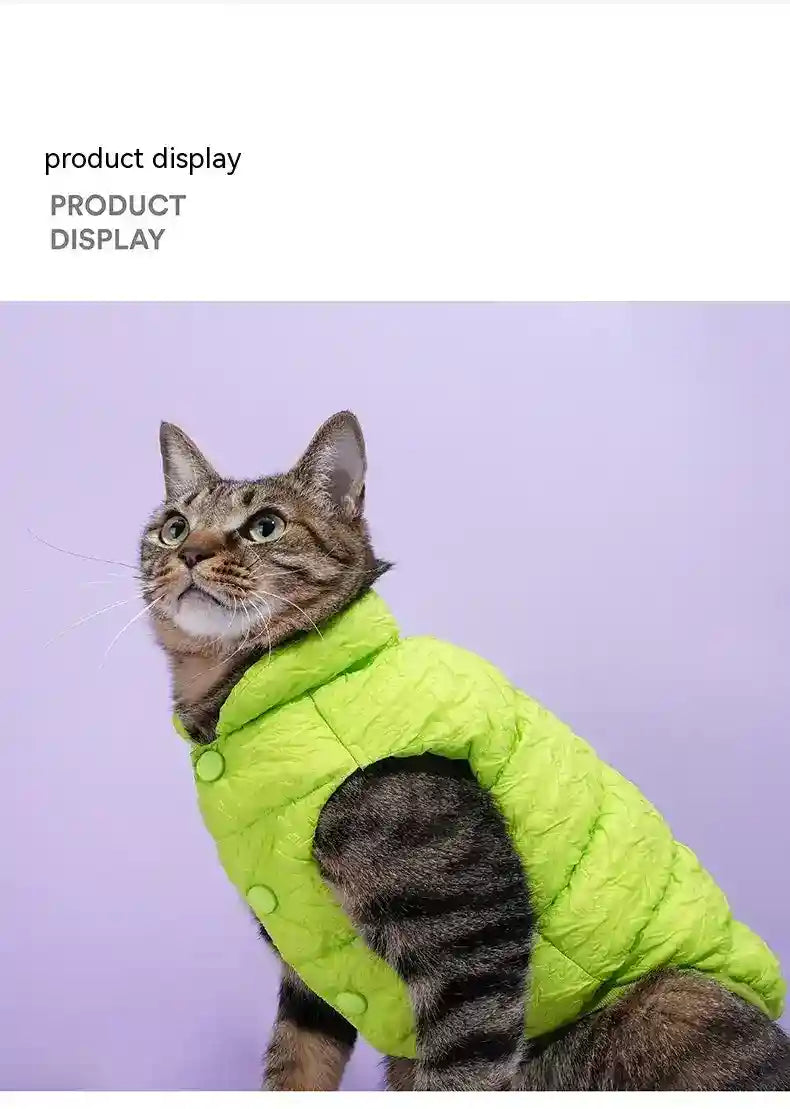 Cappotto ZeZe Gatti Verde - Smanicato Collo Alto S-M-L by Dog Moda