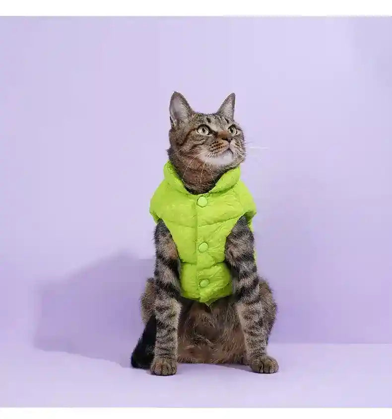 Cappotto ZeZe Gatti Verde - Smanicato Collo Alto S-M-L by Dog Moda