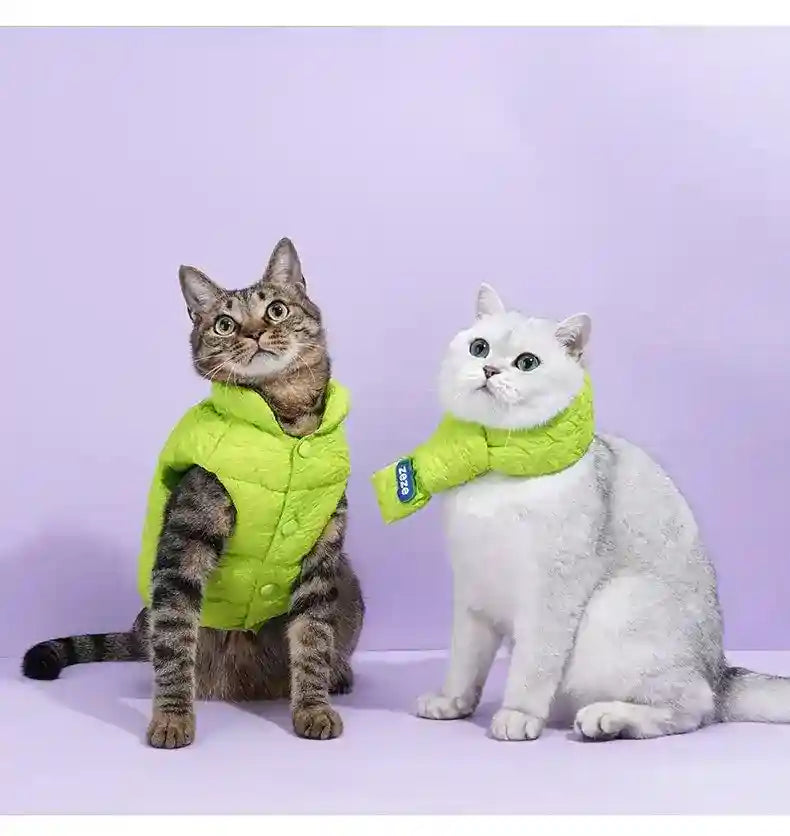 Cappotto ZeZe Gatti Verde - Smanicato Collo Alto S-M-L by Dog Moda
