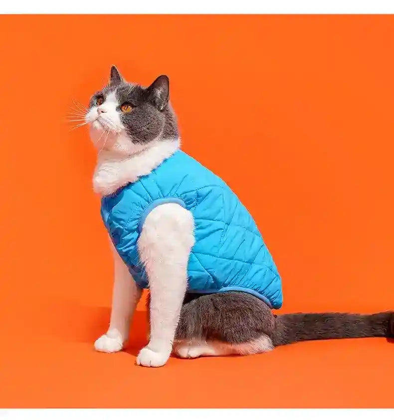 Gilet en polaire pour chats et chiens - Sans manches chaud bleu vert