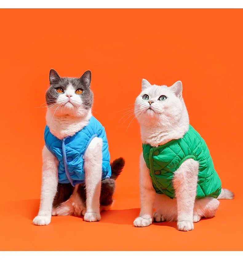 Gilet Pile Gatti Cani - Caldo Smanicato Azzurro Verde