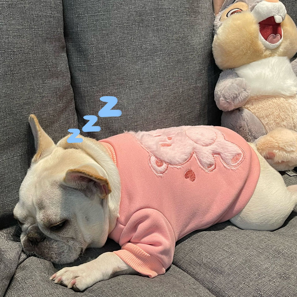 Maglione Cane Rosa Coniglietto - Felpa Bulldog Cuori