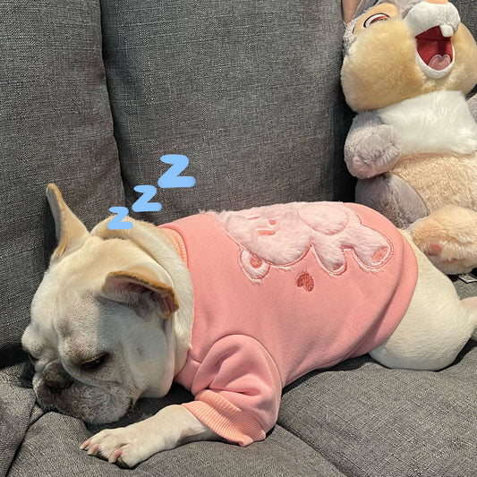 Maglione Cane Rosa Coniglietto - Felpa Bulldog Cuori by Dog Moda