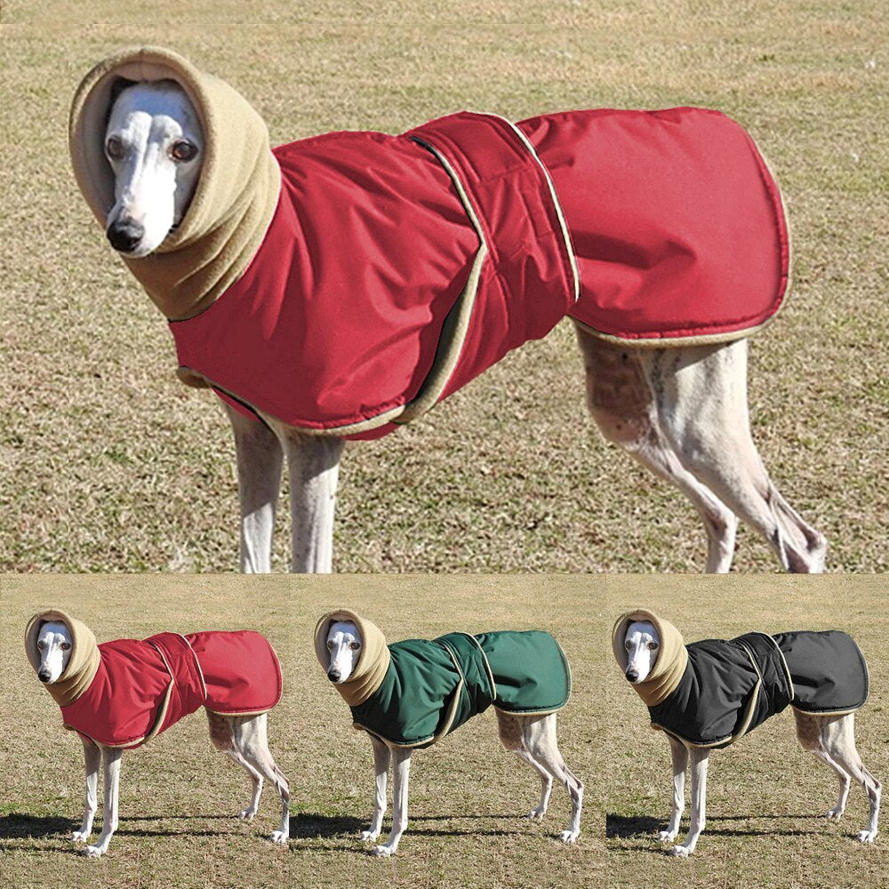 Cappotto per Alano in Pile e Tessuto Tecnico - Comfort e Protezione